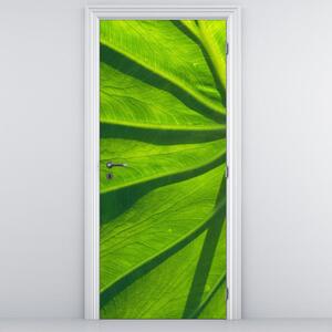 Fototapeta na dveře - zelené listy (95x205cm)
