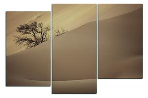 Obraz na plátně - Červené písečné duny 1133FD (90x60 cm)