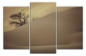 Obraz na plátně - Červené písečné duny 1133FC (90x60 cm)