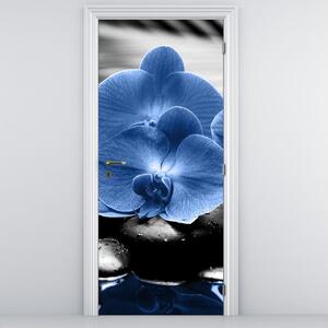 Fototapeta na dveře - modré květy (95x205cm)