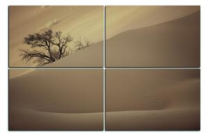 Obraz na plátně - Červené písečné duny 1133FE (150x100 cm)