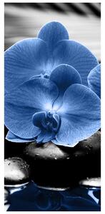 Fototapeta na dveře - modré květy (95x205cm)