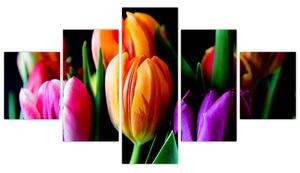 Obraz tulipánů na černém pozadí (125x70 cm)
