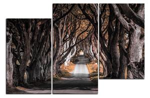 Obraz na plátně - Tmavé ploty v Irsku 1134FD (150x100 cm)