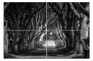 Obraz na plátně - Tmavé ploty v Irsku 1134QE (150x100 cm)