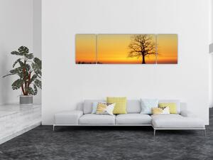 Obraz stromu na poli (170x50 cm)