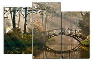 Obraz na plátně - Starý most 1139D (120x80 cm)