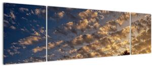Obraz - Palmy mezi mraky (170x50 cm)
