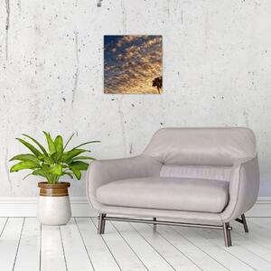 Obraz - Palmy mezi mraky (30x30 cm)
