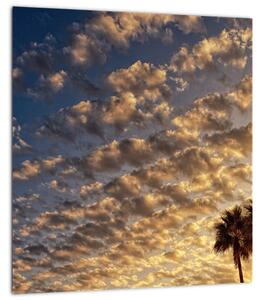 Obraz - Palmy mezi mraky (30x30 cm)