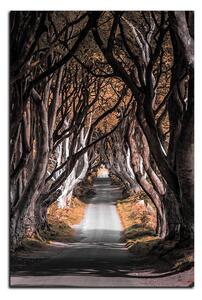 Obraz na plátně - Tmavé ploty v Irsku - obdélník 7134FA (120x80 cm)