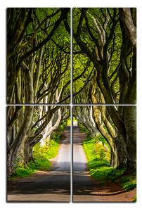 Obraz na plátně - Tmavé ploty v Irsku - obdélník 7134D (90x60 cm)