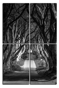 Obraz na plátně - Tmavé ploty v Irsku - obdélník 7134QD (90x60 cm)