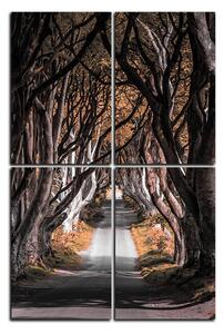 Obraz na plátně - Tmavé ploty v Irsku - obdélník 7134FD (90x60 cm)
