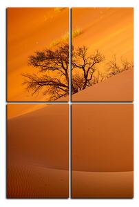 Obraz na plátně - Červené písečné duny - obdélník 7133E (120x80 cm)