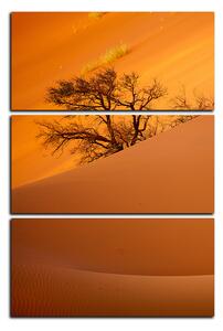 Obraz na plátně - Červené písečné duny - obdélník 7133B (120x80 cm)