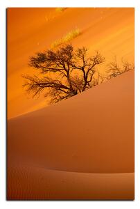 Obraz na plátně - Červené písečné duny - obdélník 7133A (90x60 cm )