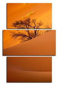 Obraz na plátně - Červené písečné duny - obdélník 7133C (120x80 cm)
