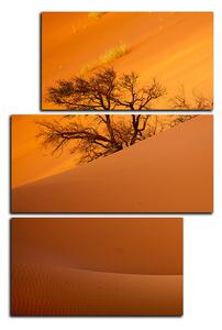 Obraz na plátně - Červené písečné duny - obdélník 7133D (90x60 cm)