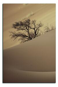 Obraz na plátně - Červené písečné duny - obdélník 7133FA (90x60 cm )