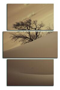 Obraz na plátně - Červené písečné duny - obdélník 7133FC (90x60 cm)