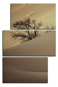 Obraz na plátně - Červené písečné duny - obdélník 7133FD (90x60 cm)
