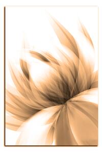 Obraz na plátně - Elegantní květ - obdélník 7147FA (100x70 cm)
