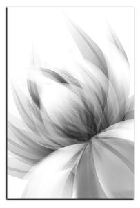 Obraz na plátně - Elegantní květ - obdélník 7147QA (100x70 cm)