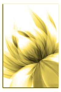 Obraz na plátně - Elegantní květ - obdélník 7147ZA (90x60 cm )