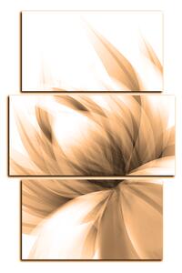 Obraz na plátně - Elegantní květ - obdélník 7147FC (105x70 cm)