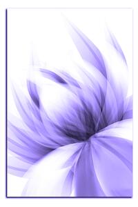Obraz na plátně - Elegantní květ - obdélník 7147VA (90x60 cm )