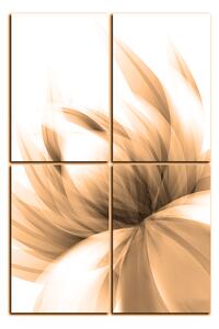 Obraz na plátně - Elegantní květ - obdélník 7147FD (120x80 cm)