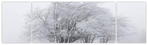 Obraz - Bílá zima (170x50 cm)