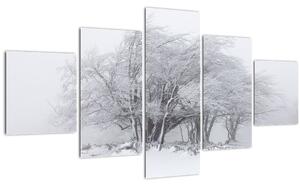 Obraz - Bílá zima (125x70 cm)