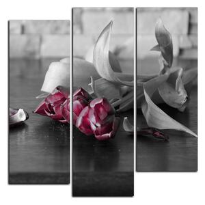 Obraz na plátně - Tři tulipány - čtverec 3144C (75x75 cm)