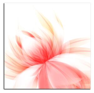 Obraz na plátně - Elegantní květ - čtverec 3147A (50x50 cm)