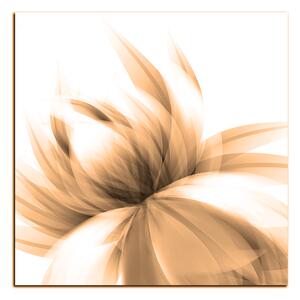 Obraz na plátně - Elegantní květ - čtverec 3147FA (50x50 cm)