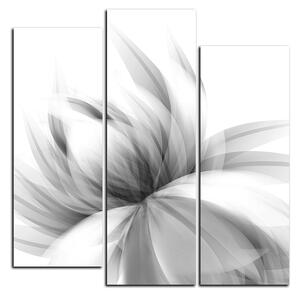 Obraz na plátně - Elegantní květ - čtverec 3147QC (75x75 cm)