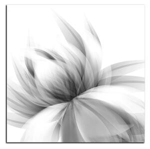 Obraz na plátně - Elegantní květ - čtverec 3147QA (50x50 cm)