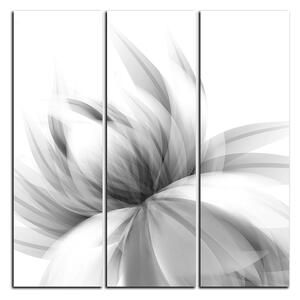 Obraz na plátně - Elegantní květ - čtverec 3147QB (75x75 cm)