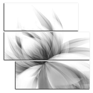 Obraz na plátně - Elegantní květ - čtverec 3147QD (75x75 cm)
