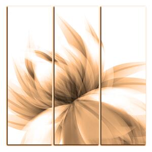 Obraz na plátně - Elegantní květ - čtverec 3147FB (75x75 cm)