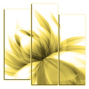 Obraz na plátně - Elegantní květ - čtverec 3147ZC (75x75 cm)