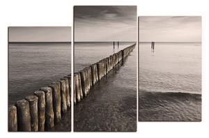 Obraz na plátně - Vlnolam 1143FC (90x60 cm)