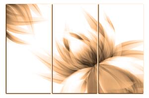 Obraz na plátně - Elegantní květ 1147FB (90x60 cm )