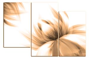 Obraz na plátně - Elegantní květ 1147FC (120x80 cm)