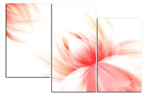 Obraz na plátně - Elegantní květ 1147C (105x70 cm)