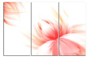 Obraz na plátně - Elegantní květ 1147B (120x80 cm)