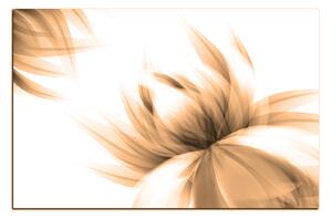 Obraz na plátně - Elegantní květ 1147FA (90x60 cm )