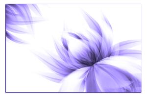 Obraz na plátně - Elegantní květ 1147VA (90x60 cm )